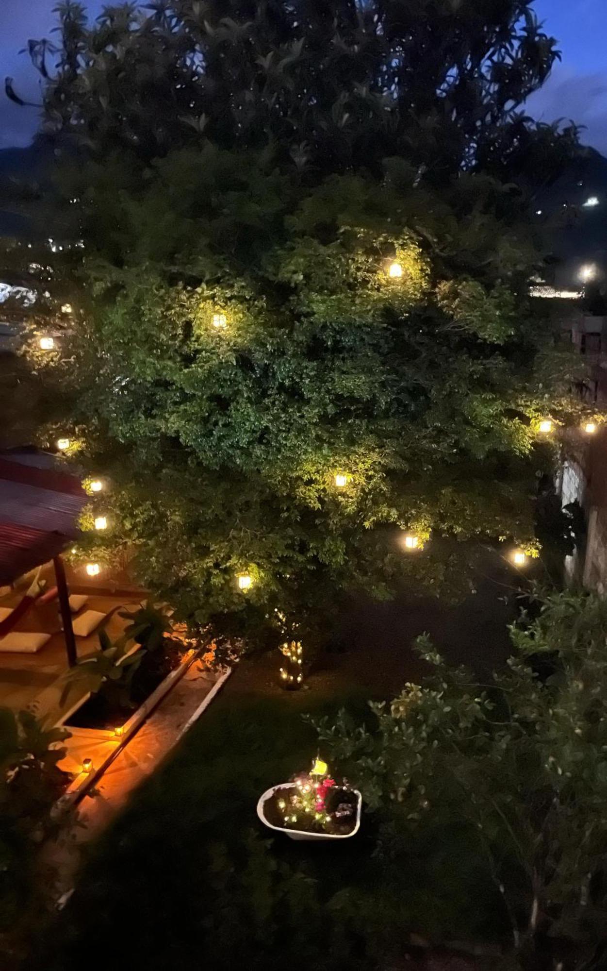 Magic Jardin Hostel - Patio, Balcony & Rooftop Екстериор снимка